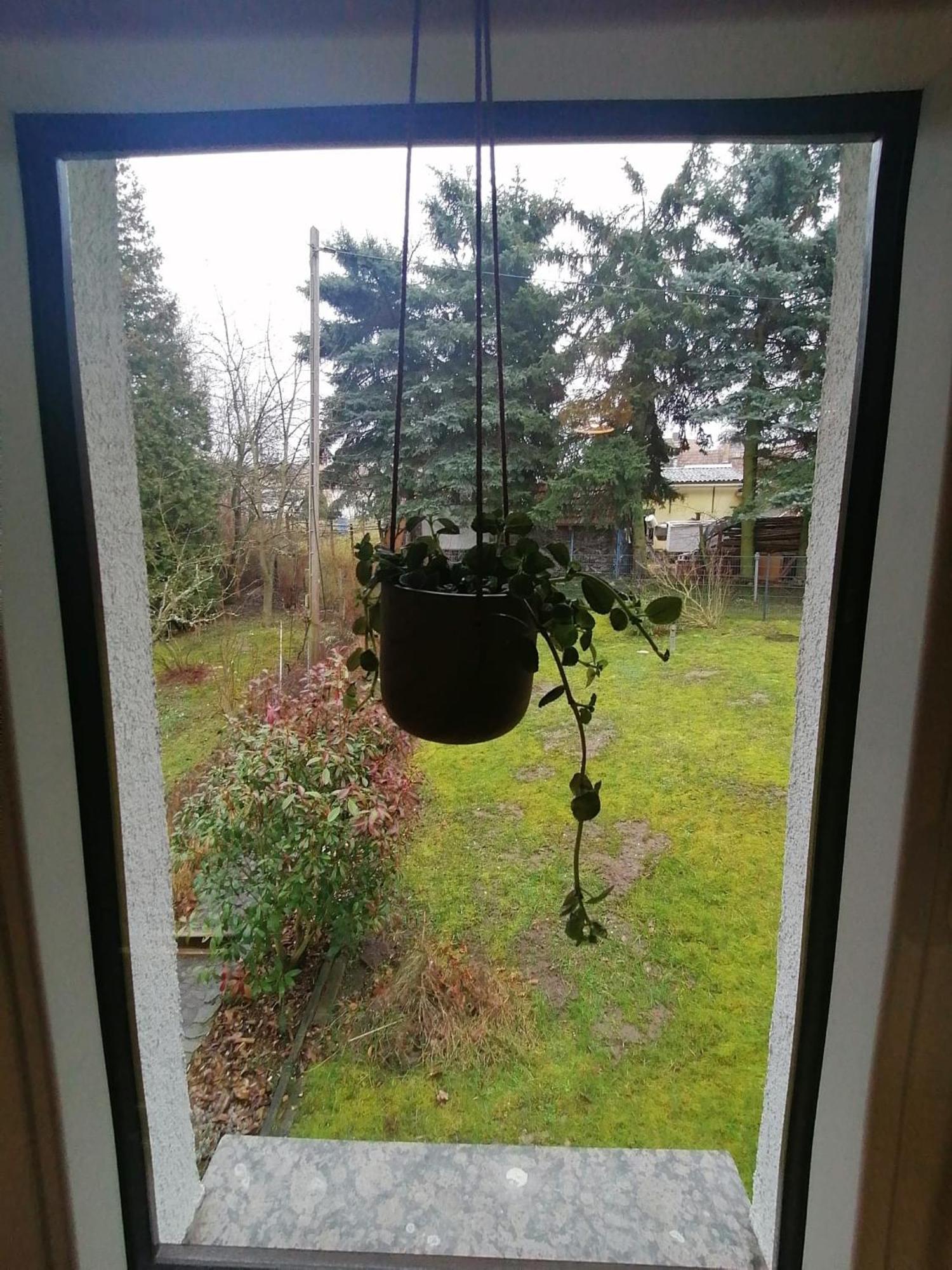 Ferienhaus Fuxbau Wohlau Luaran gambar