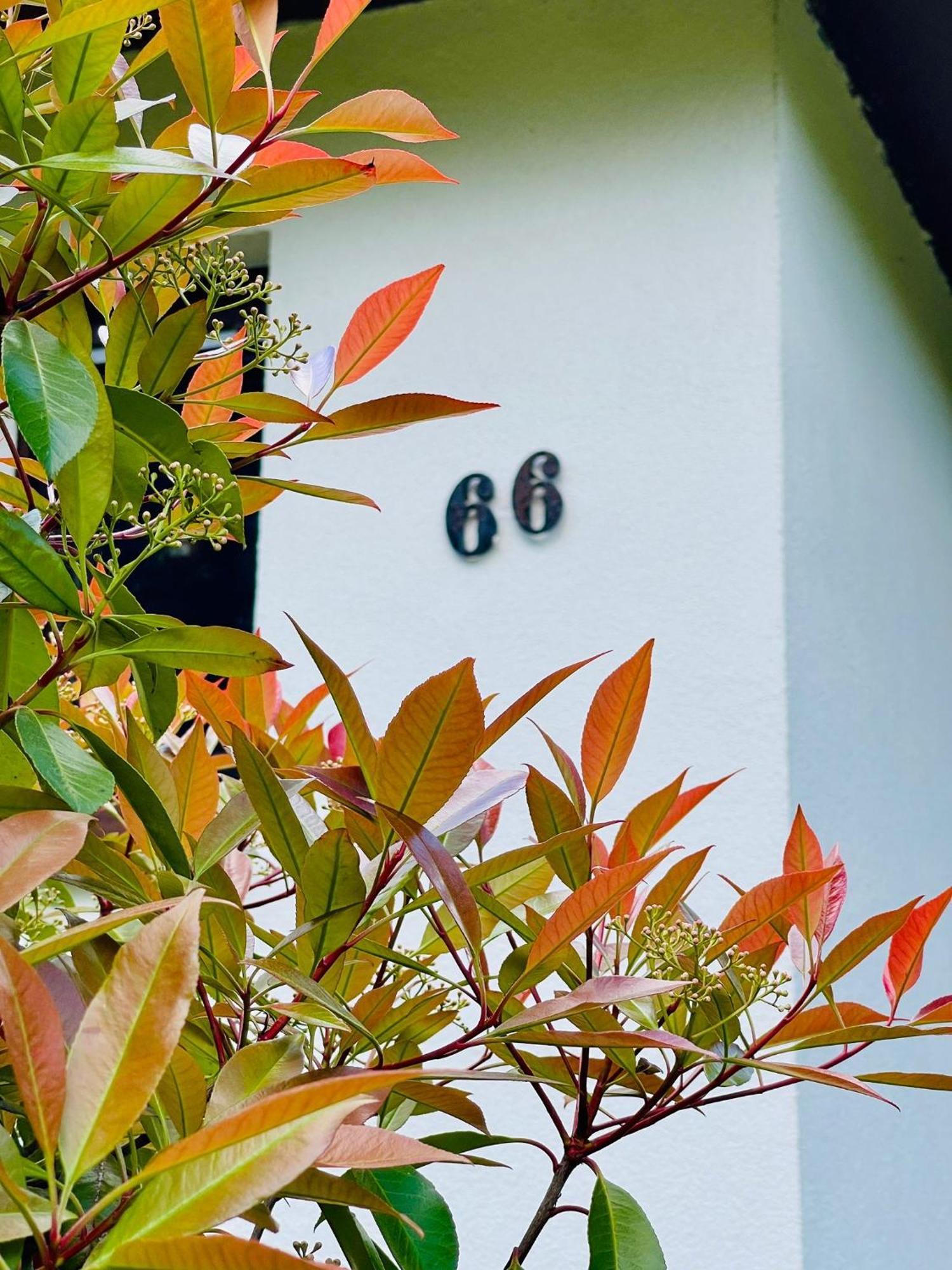 Ferienhaus Fuxbau Wohlau Luaran gambar